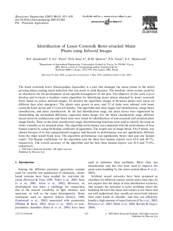 Bores essay pdf picture