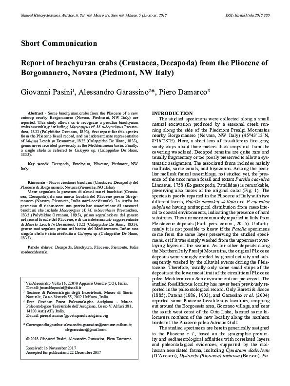 Decapoda species image