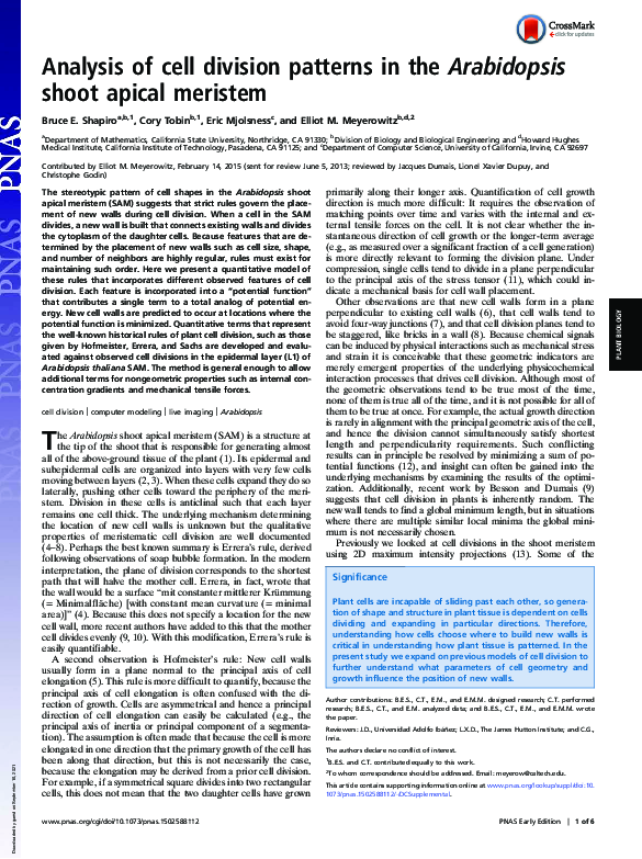 (PDF) Analysis of cell division patterns in the Arabidopsis shoot ...