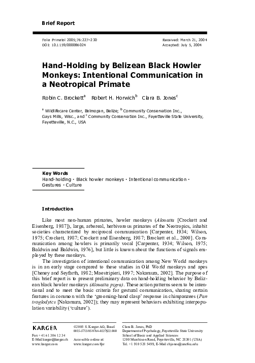 Visual communication in chimpanzees image