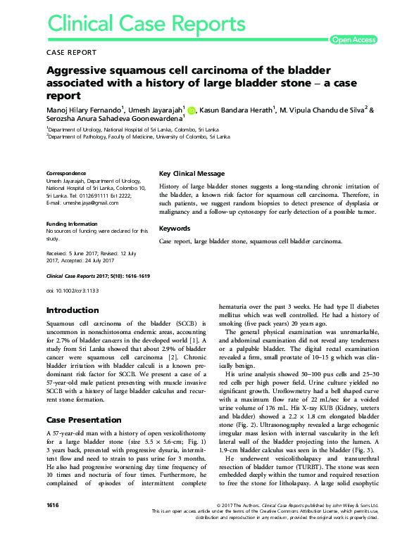 (PDF) Aggressive squamous cell carcinoma of the bladder associated with ...