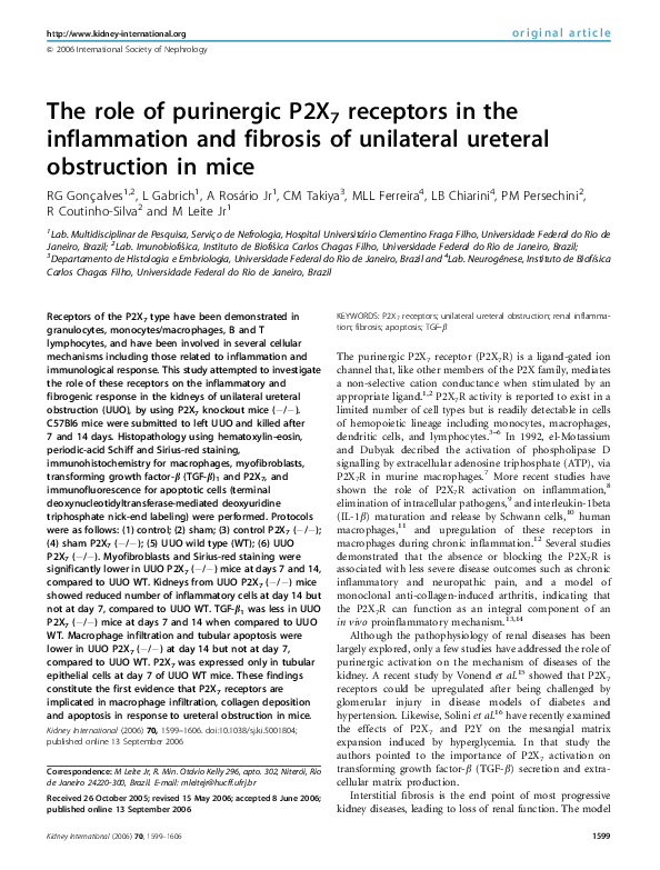 (PDF) The role of purinergic P2X7 receptors in the inflammation and ...