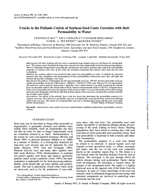 (PDF) Cracks in the palisade cuticle of soybean seed coats correlate ...