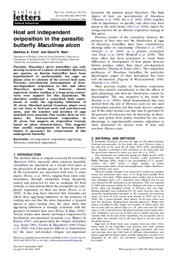 (PDF) Host ant independent oviposition in the parasitic butterfly ...