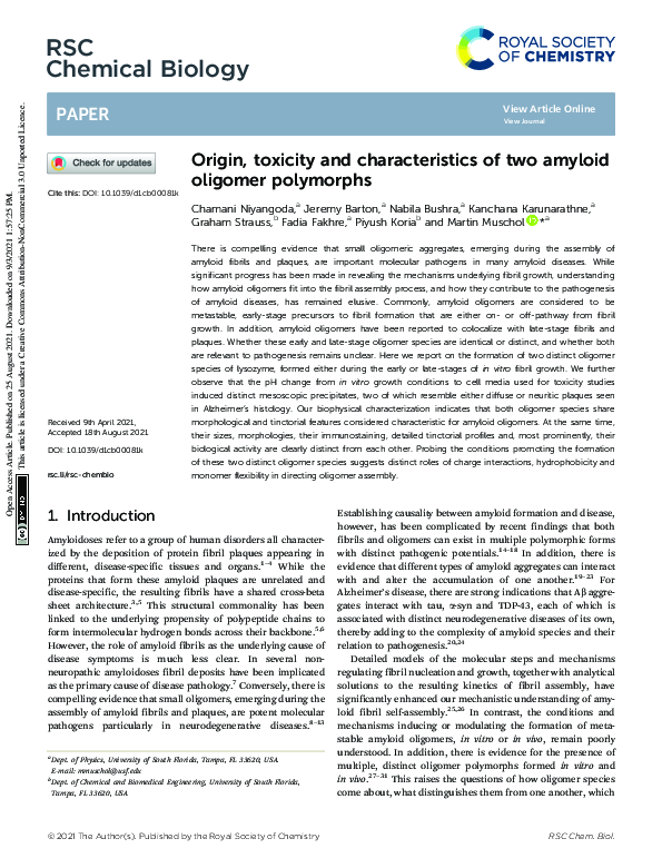 (PDF) Origin, toxicity and characteristics of two amyloid oligomer ...