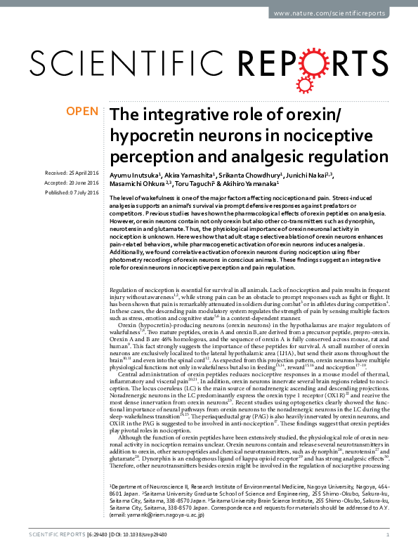 (PDF) The integrative role of orexin/hypocretin neurons in nociceptive ...