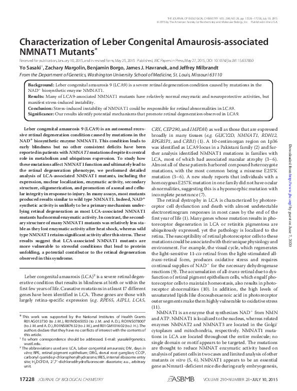 (PDF) Characterization of Leber′s Congenital Amaurosisassociated