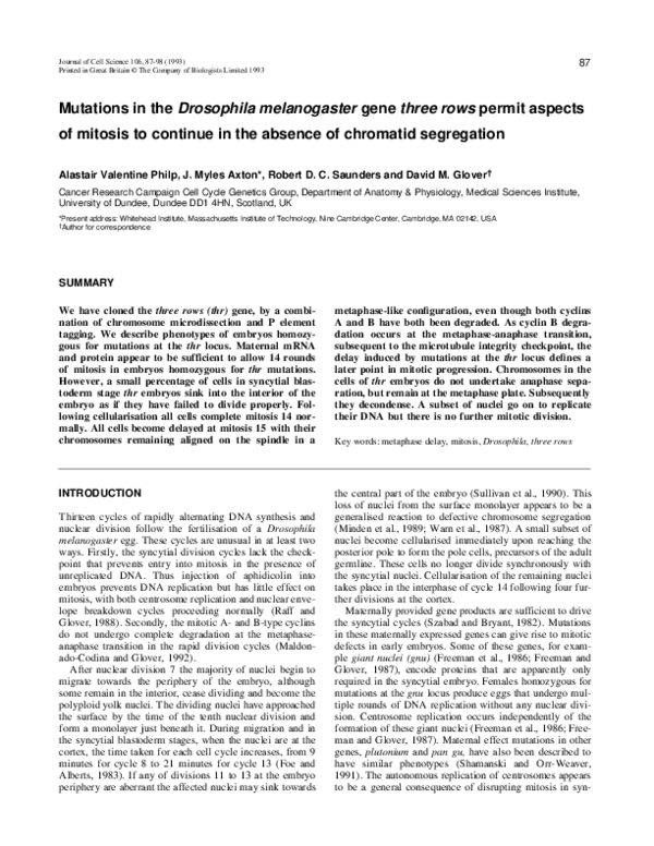 (PDF) Mutations in the Drosophila melanogaster gene three rows permit ...