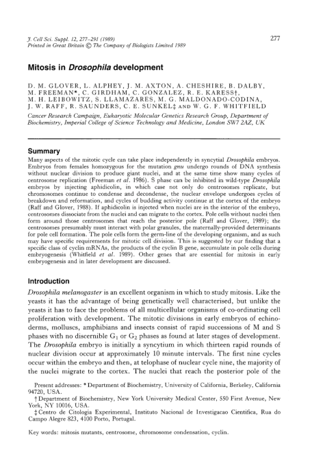 (PDF) Mitosis in Drosophila development