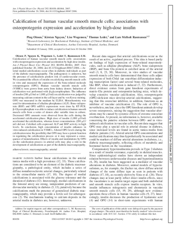 (PDF) Calcification of human vascular smooth muscle cells: associations ...
