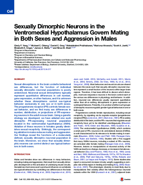 (PDF) Sexually Dimorphic Neurons in the Ventromedial Hypothalamus ...