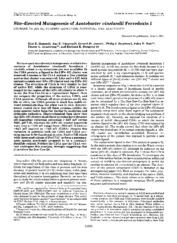 (PDF) Site directed mutagenesis of Azotobacter vinelandii ferredoxin I ...