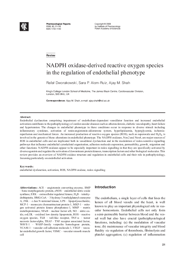 (PDF) NADPH oxidase-derived reactive oxygen species mediate the ...