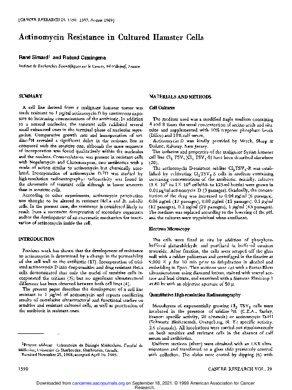 Hamster experiments image