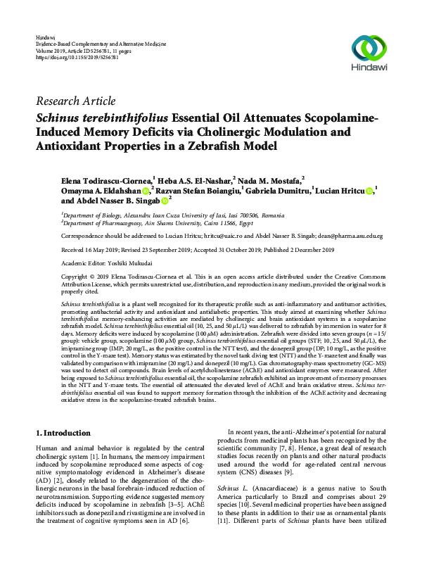 Scopolamine essay 08 picture