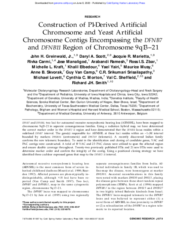 (PDF) Construction of P1-derived artificial chromosome and yeast ...