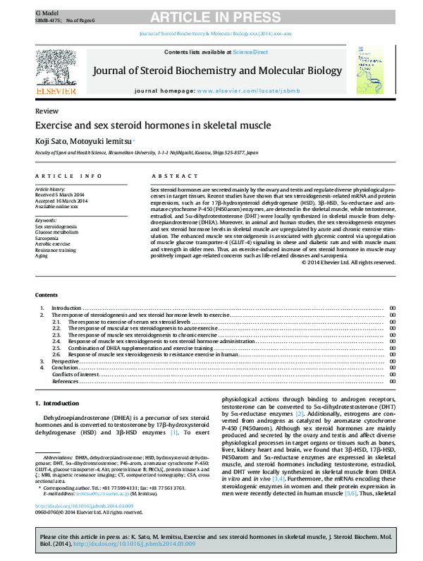 (PDF) Exercise and sex steroid hormones in skeletal muscle