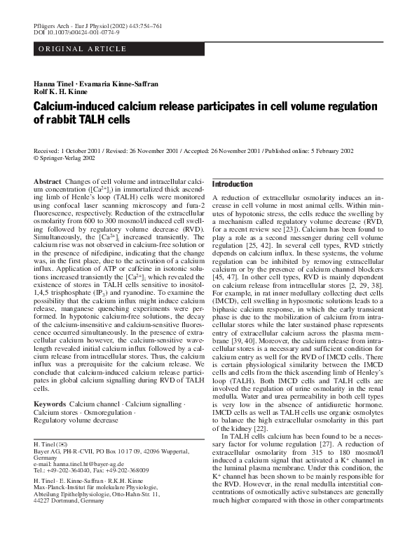 (PDF) Calcium-induced calcium release participates in cell volume ...