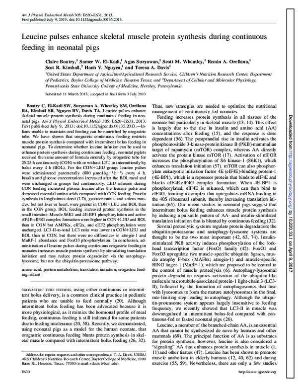 (PDF) Leucine pulses enhance skeletal muscle protein synthesis during ...
