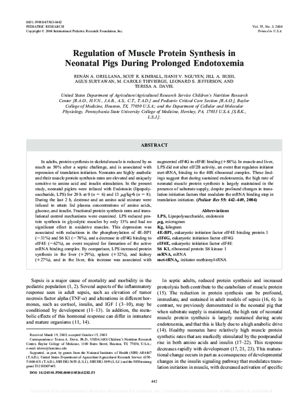 (PDF) Regulation of Muscle Protein Synthesis in Neonatal Pigs During ...
