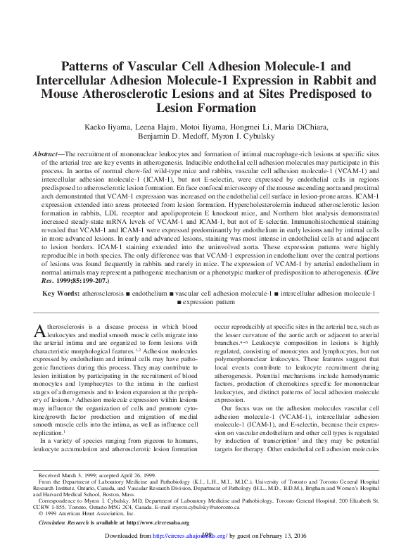 (PDF) Patterns of Vascular Cell Adhesion Molecule-1 and Intercellular ...