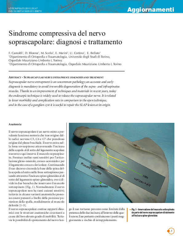 (PDF) Sindrome compressiva del nervo soprascapolare diagnosi e trattamento