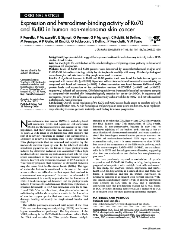 (PDF) Expression and heterodimer-binding activity of Ku70 and Ku80 in ...