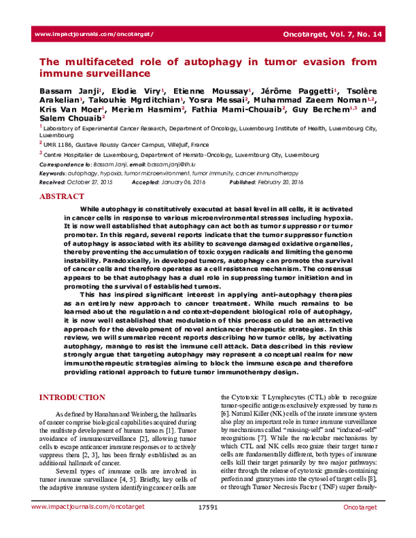 (PDF) The multifaceted role of autophagy in tumor evasion from immune ...