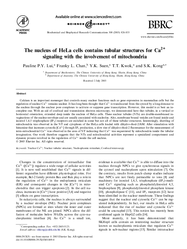 (PDF) The nucleus of HeLa cells contains tubular structures for Ca2 ...