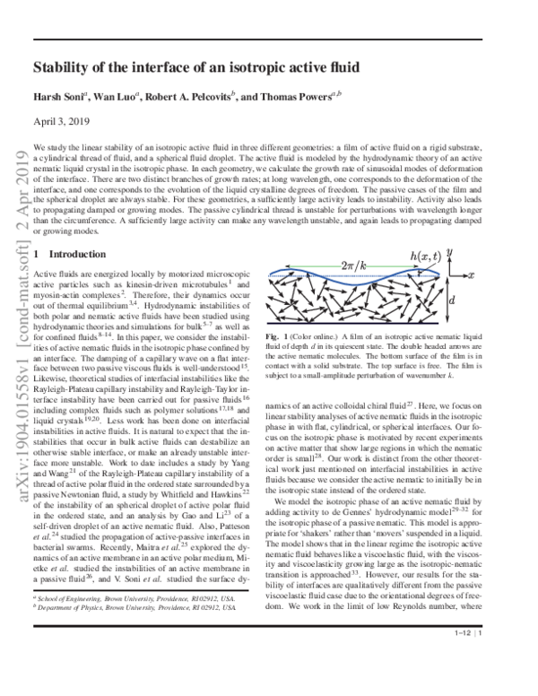 (PDF) Stability of the interface of an isotropic active fluid