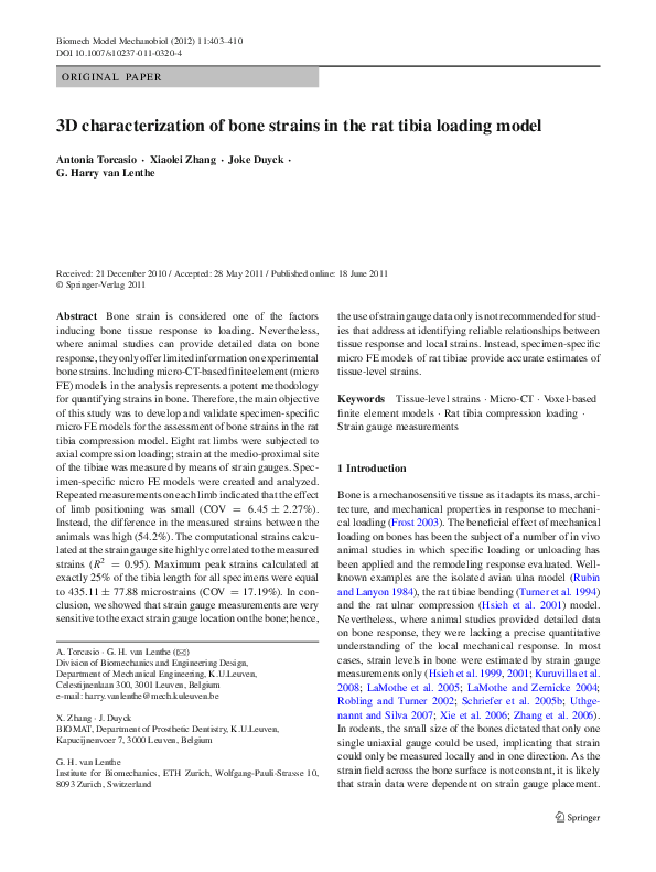 (PDF) 3D characterization of bone strains in the rat tibia loading model