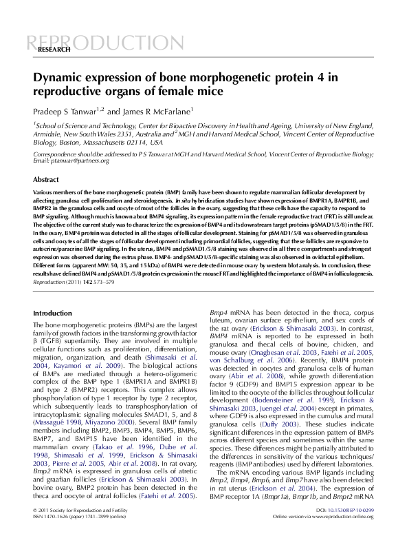 (PDF) Dynamic expression of bone morphogenetic protein 4 in ...