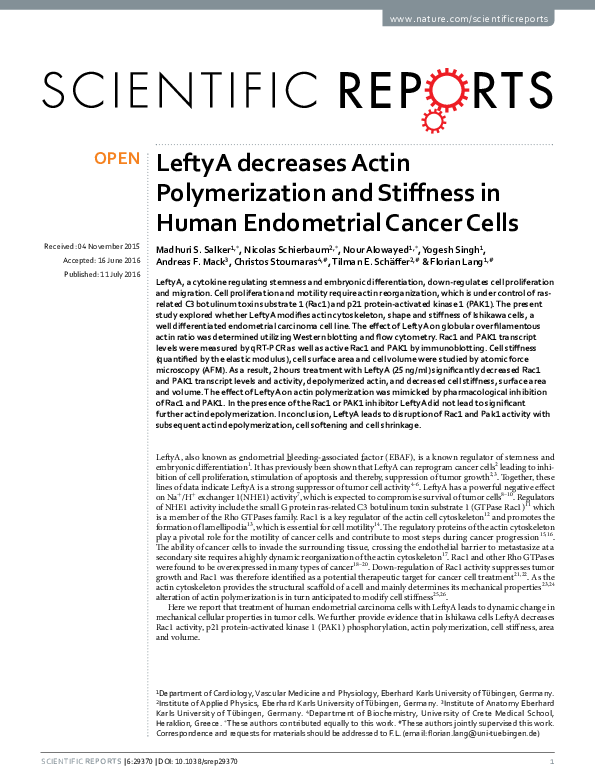 (PDF) LeftyA decreases Actin Polymerization and Stiffness in Human ...