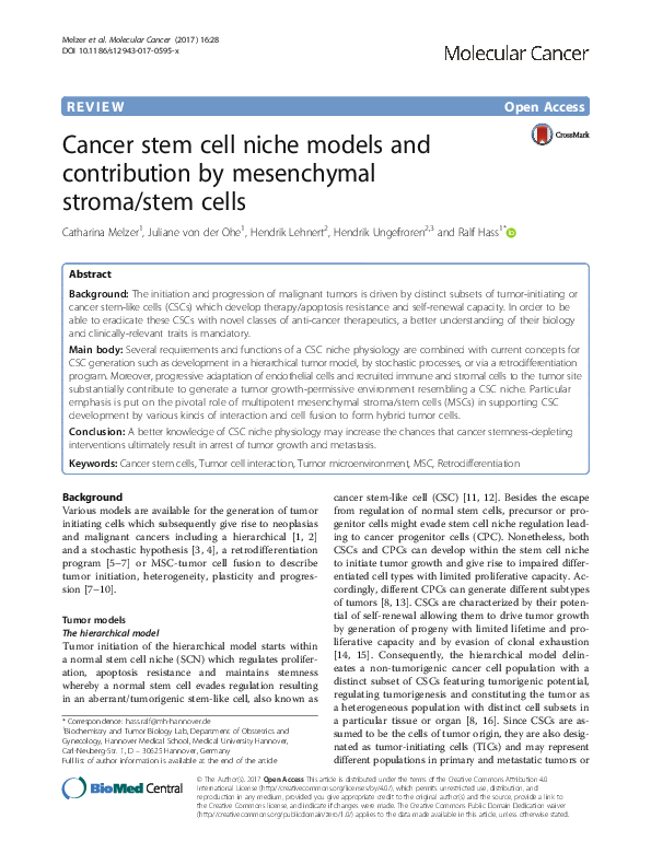 (PDF) Cancer stem cell niche models and contribution by mesenchymal ...