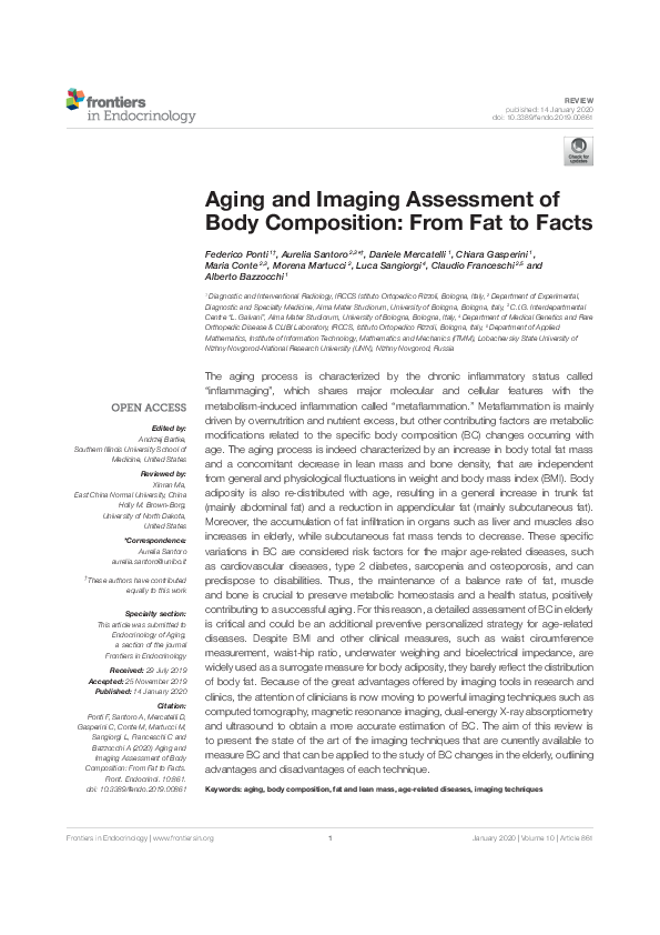 (PDF) Aging and Imaging Assessment of Body Composition: From Fat to Facts