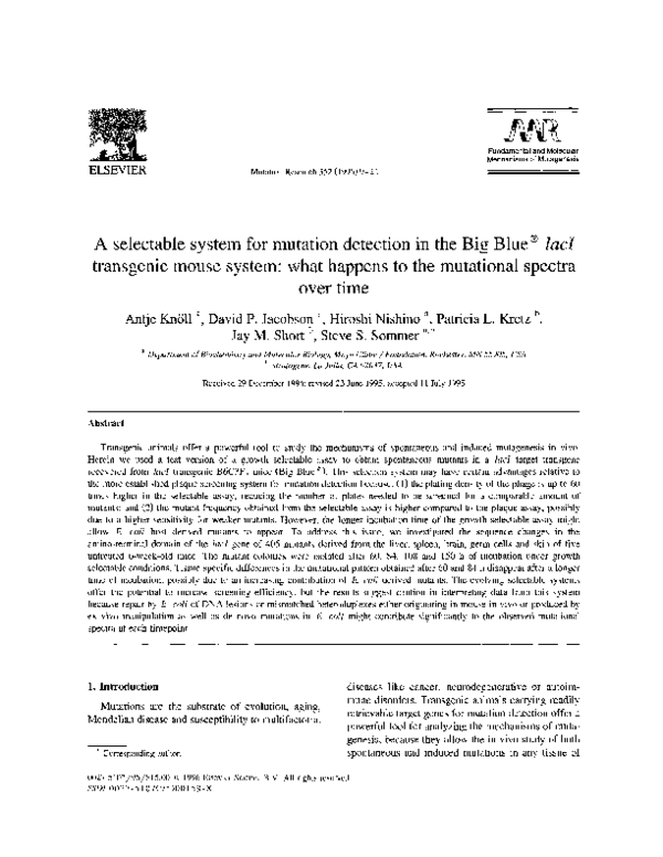 (PDF) A selectable system for mutation detection in the Big Blue ...