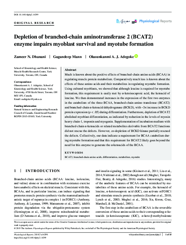 (PDF) Depletion of branched‐chain aminotransferase 2 (BCAT2) enzyme ...
