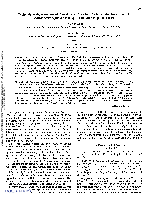 (PDF) Cephalids in the taxonomy of Scutellonema Andrássy, 1958 and the ...