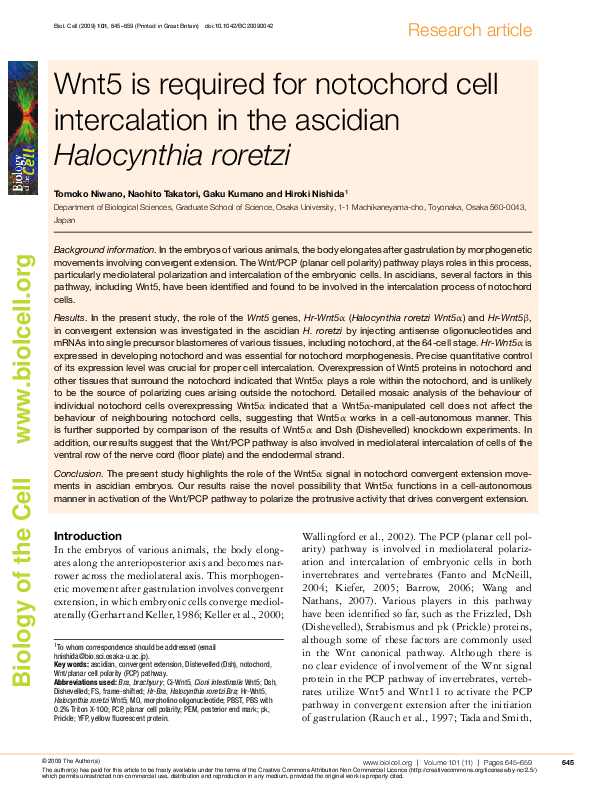 (PDF) Wnt5 is required for notochord cell intercalation in the ascidian ...