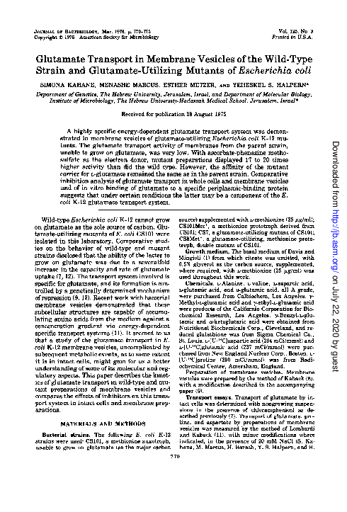 (PDF) Glutamate transport in membrane vesicles of the wild-type strain ...