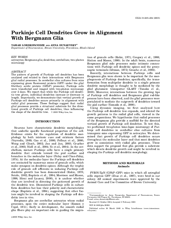 (PDF) Purkinje cell dendrites grow in alignment with Bergmann glia