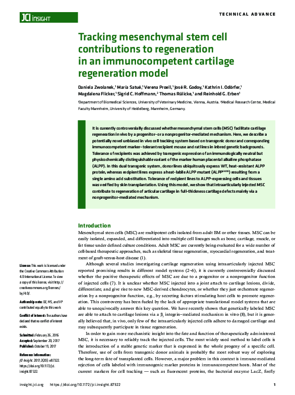 (PDF) Tracking mesenchymal stem cell contributions to regeneration in ...