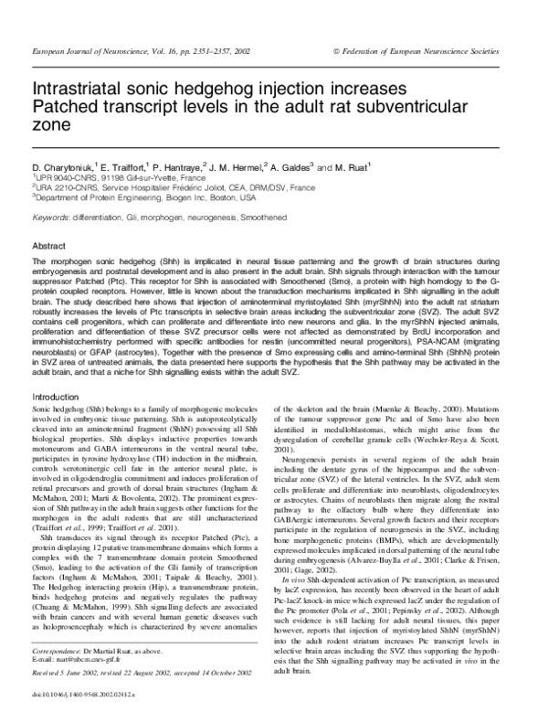 (PDF) Intrastriatal sonic hedgehog injection increases Patched ...