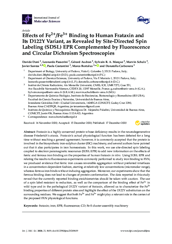 (PDF) Effects of Fe2+/Fe3+ Binding to Human Frataxin and Its D122Y ...