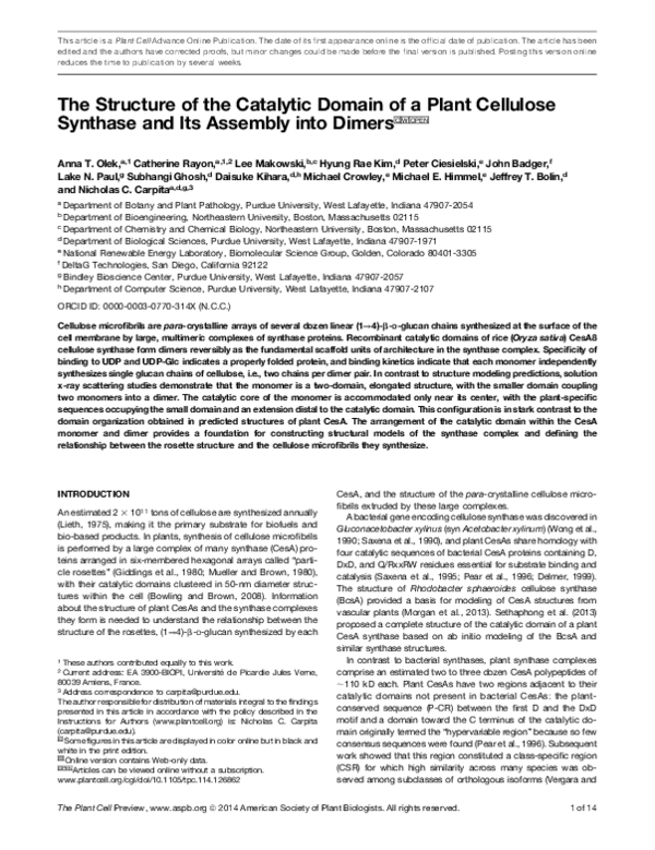 (PDF) The Structure of the Catalytic Domain of a Plant Cellulose ...