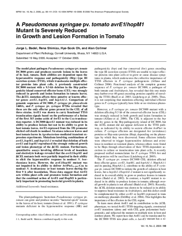 (PDF) A Pseudomonas syringae pv. tomato avrE1/hopM1 Mutant Is Severely ...