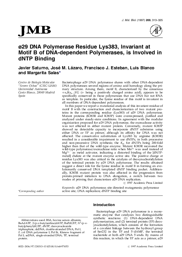 (PDF) ø29 DNA polymerase residue Lys383, invariant at motif B of DNA ...