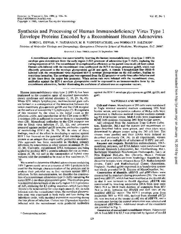 (PDF) Synthesis and processing of human immunodeficiency virus type 1 ...