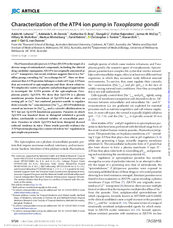 (PDF) Characterization of the ATP4 ion pump in Toxoplasma gondii