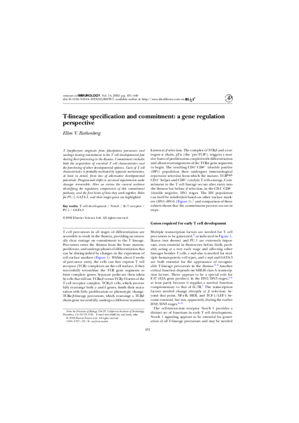 (PDF) T-lineage specification and commitment: a gene regulation perspective